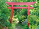 Bambus-Torii und mehr