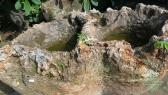 Natural stone water basins & planters, unique pieces