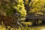Japanese  stone lanterns & more