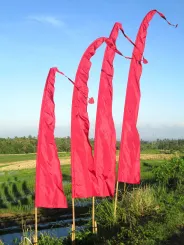 Bali-Fahne, dunkelrot, 3 Meter