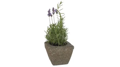 Pflanzgefäß, eckig, glatt, 15 cm 