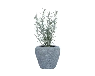 Pflanzgefäß (Kräutertopf), rund, glatt, bauchig, 16 cm 