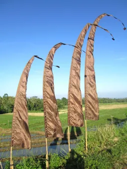 Bali-Fahne, dunkelbraun, 5 Meter