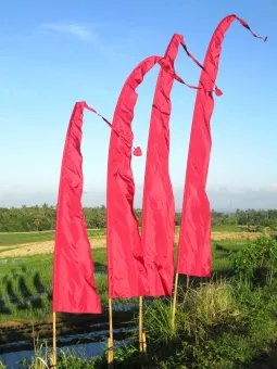 Bali Flag, satin, dark red 3 meters 