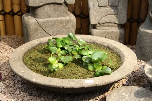 Schale Modell Lotus, bossierte Außenfläche, 50 cm Ø 