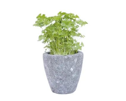 Planter, round, smooth, concave, 13 cm H 