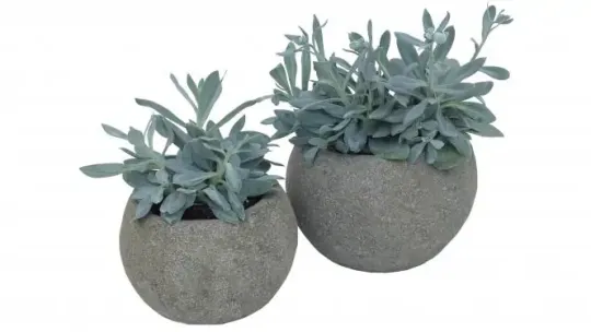 Pflanzgefäß, rund, glatt, 20 cm Ø 