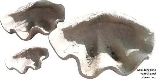 SALE - Shell decoration, 95 cm long 