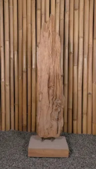 Root with stand made of teak wood about 100cm height 