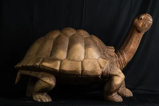 Schildkröte, 100 cm 