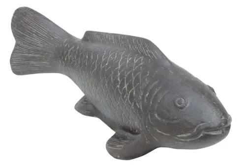 Koikarpfen 60 cm 