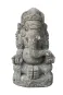 morepic-1