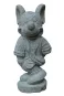 morepic-1