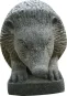 morepic-1