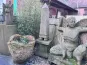 morepic-1