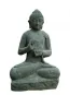 morepic-1