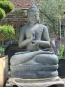 morepic-1