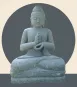 morepic-1