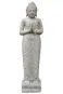 morepic-1