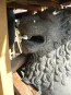 morepic-1