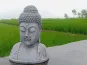morepic-1