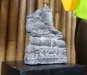 morepic-1