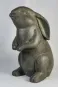 morepic-1