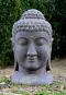 morepic-1