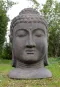 morepic-1