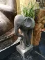 morepic-1