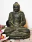 morepic-1