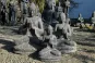 morepic-1