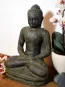 morepic-1