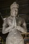 morepic-1