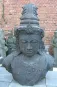 morepic-1