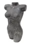 morepic-1