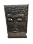 morepic-1