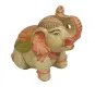 morepic-1