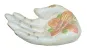 morepic-1