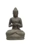 morepic-1