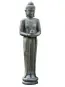 morepic-1