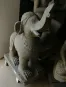 morepic-1