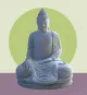 morepic-1