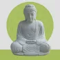 morepic-1