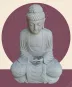 morepic-1