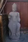 morepic-1