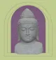 morepic-1
