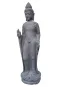 morepic-1