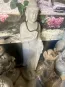 morepic-1