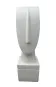 morepic-1